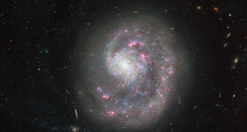 NASA拍到只有一條旋臂的NGC 4625星系。（NASA）