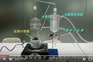 日本流行透明奶茶 製作方法大公開