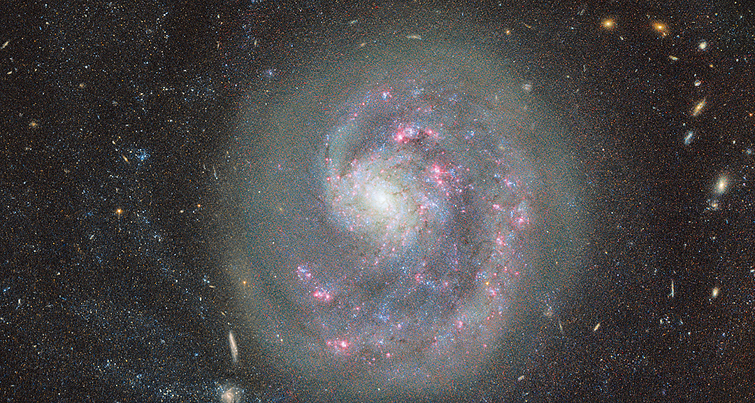 NASA拍到罕見「獨臂」星系