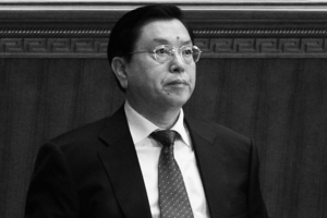 夏小強：張德江從政的40年和最後一百天