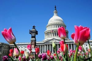 美參議院通過史上最大稅改法案