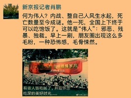 北京記者批毛殘酷獨裁 豫小編說毛微不足道