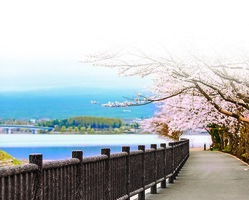 東京，一期一會 每段相遇，都是邁向憧憬未來的養份。（下）