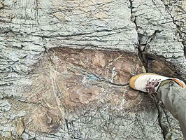 玻利維亞驚見巨大腳印 或史前巨人所留