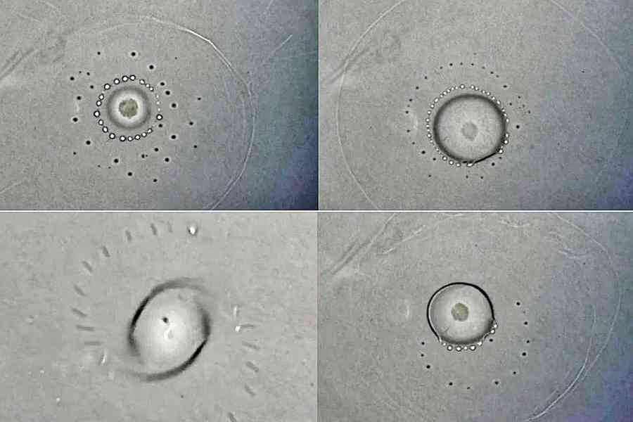 微觀下 液滴溶解揮發像星系旋轉