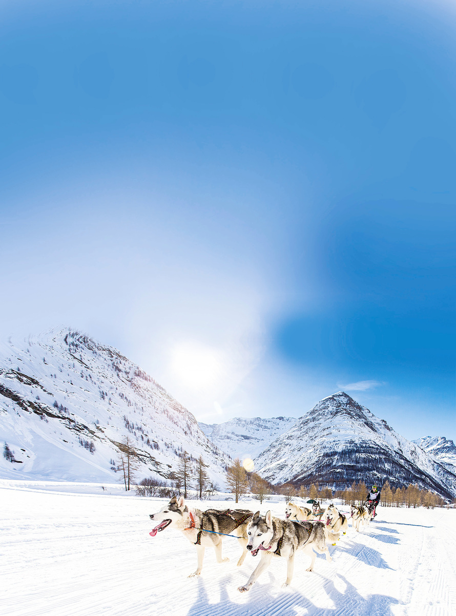狗狗們拉著雪橇，奔跑於法國阿爾卑斯的高山上，與銀白的高山構成一幅冬季壯美的畫面。（Vincent Piccerelle）