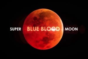 「超級藍血月」150年一遇 如何上網觀賞