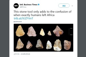 印度發現38.5萬年前石器 進化論者困惑