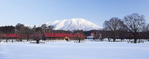  日本東北遊 雪國體驗之一 小岩井農場篇