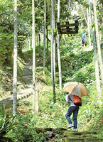 走進獨立山