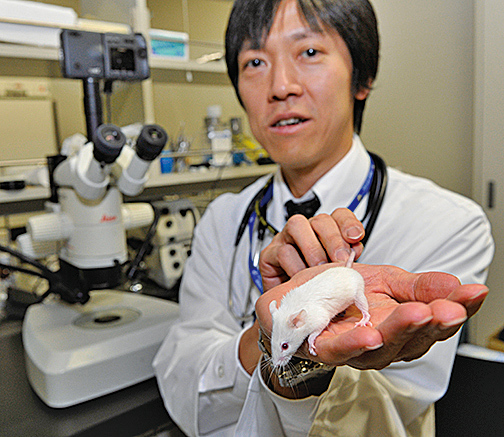 科學家們稱他們通過抑制小鼠大腦中的一個基因，成功預防和逆轉了小鼠的老年癡呆症。（YOSHIKAZU TSUNO/AFP/Getty Images）