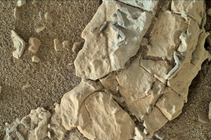 火星上發現生物化石證據