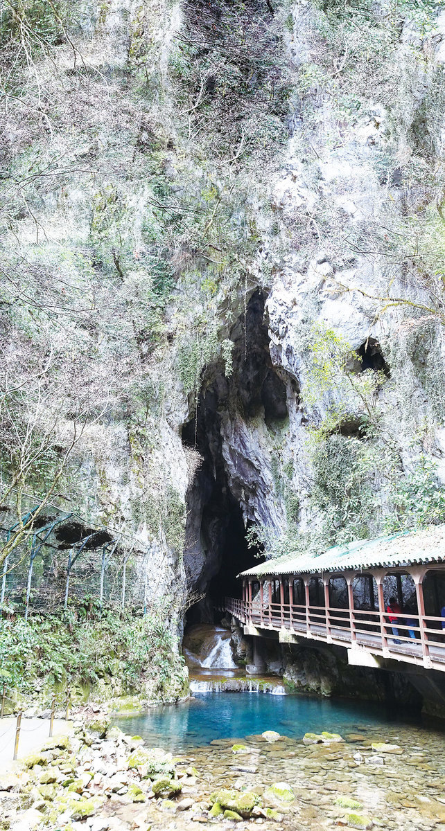 鬼斧神工的日本秋芳洞 大紀元時報香港 獨立敢言的良心媒體