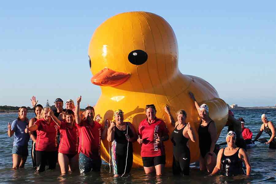 黃色大鴨出海不返 澳洲俱樂部懸賞找鴨