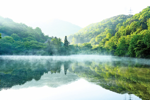 君子之交淡如水 相忘江湖更何期