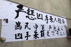 廣東開車撞人事件片段曝光 村民披露內幕