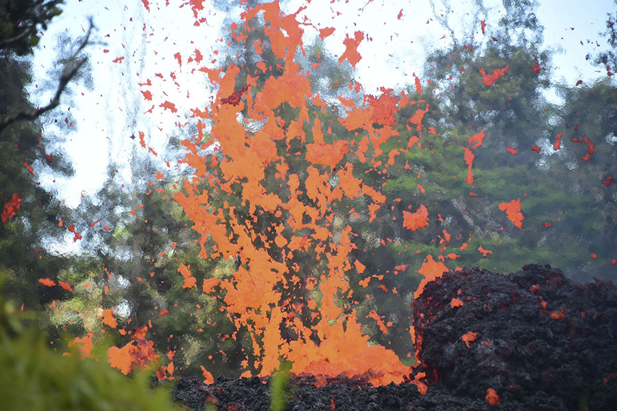 熔岩流入樹林之間。（AFP PHOTO/FREDERIC J. BROWN）