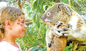 遊悉尼野生動物園 貼身接觸小動物