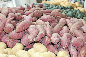 新發現：紅薯源於東方 馬鈴薯來自西方
