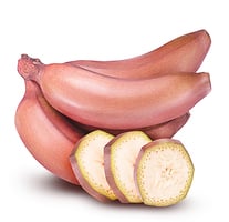 營養勝香蕉 吃紅皮蕉的5大益處