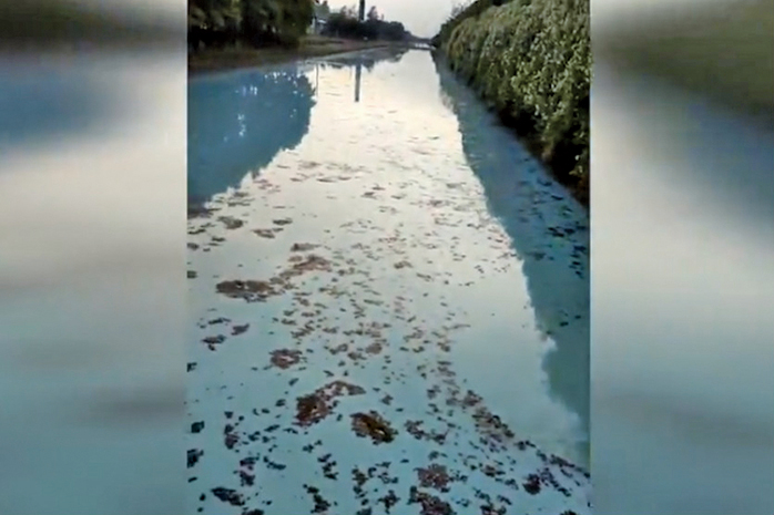 江蘇如東縣永豐河水體遭到污染，成為了「牛奶河」。（影片截圖）
