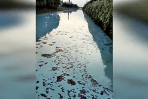 江蘇河流變成「牛奶河」  偷排企業經營12年