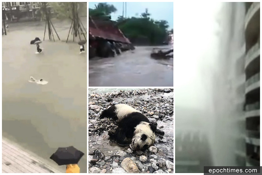 四川暴雨多座橋梁被淹 熊貓溺亡 下水道無修整惹民怨