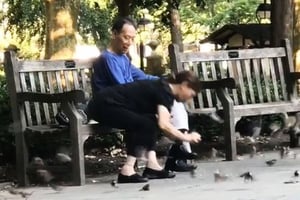 華裔女紐約公園徒手抓鳥 看傻網友 律師警告