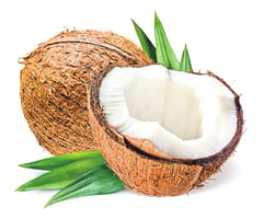 來自生命之樹美味又健康的椰子