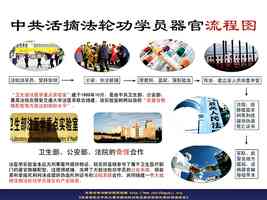中國有龐大活人器官庫