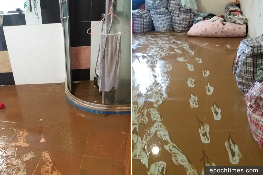 元朗新田小磡村幾十戶昨日被洪水圍困。圖為花農梁日信的村屋在水退後的情況。（梁日信提供）