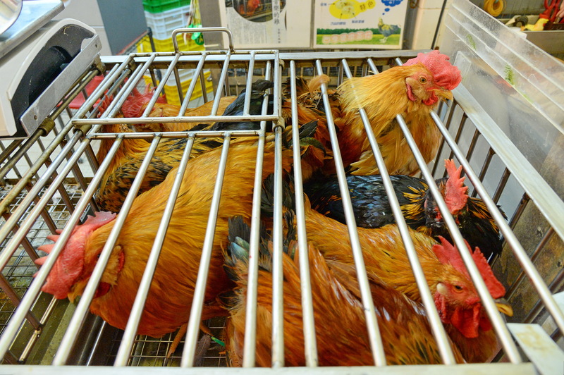 屯門仁愛街市一個活家禽檔有活禽糞便樣本，被檢測出帶有禽流感病毒，本港所有活禽交易暫停。（大紀元資料圖片）