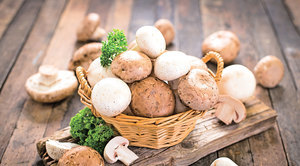 蘑菇含抗氧化劑有助提升老人認知能力