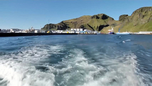 冰島建鯨魚休棲地 讓被囚鯨魚回歸自然