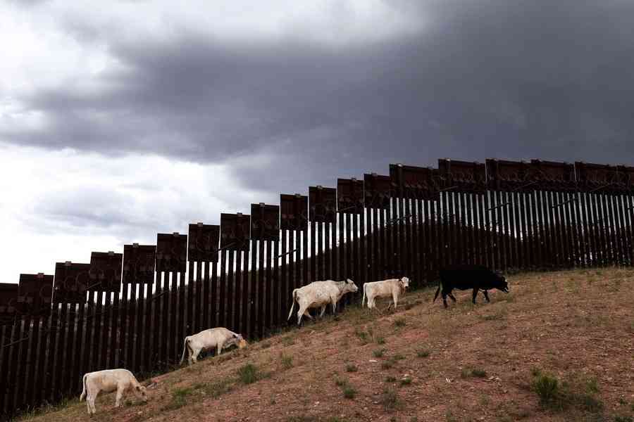 為阻絕食肉寄生蟲傳播 美興建無菌蠅工廠