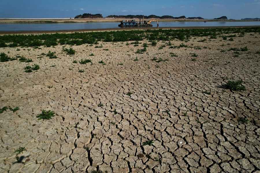 中國最大淡水湖再乾枯 水面縮至近十年最小面積