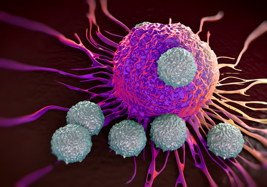 倫敦帝國學院研究：普通感冒產生的T細胞可防COVID-19