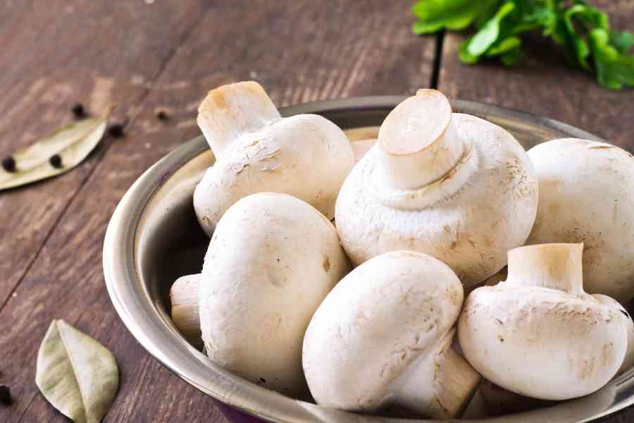 研究發現「蘑菇」可作為有機記憶電阻