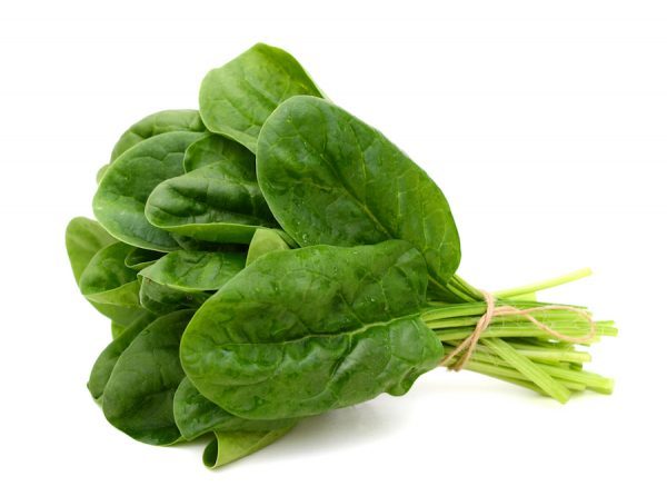 5種沙律菜單中，菠菜抗腦腫瘤的功效也排名第一。（Shutterstock）