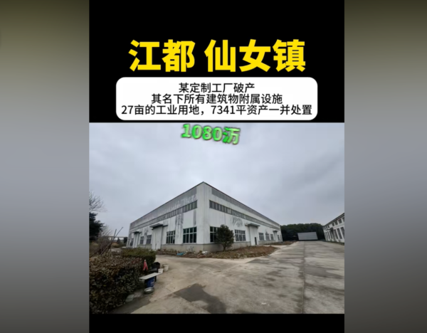 (影片截圖)