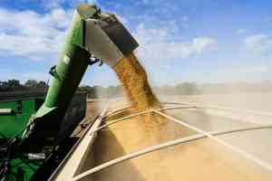 中美貿易戰延燒至農產品 專家解析