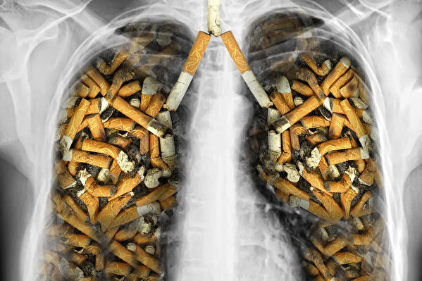 為甚麼大多數煙民沒有患肺癌 研究析因