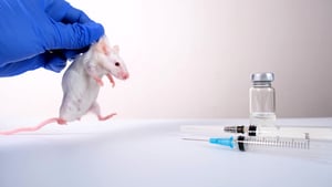 為甚麼實驗室「白老鼠」多為雄性？