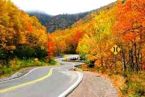 秋葉勝春花 加拿大五大賞秋佳處