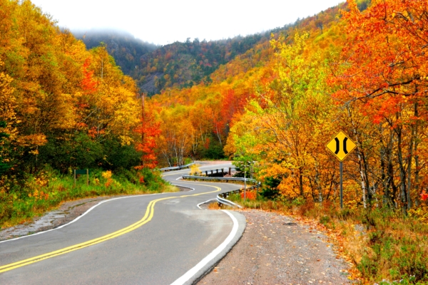 秋葉勝春花 加拿大五大賞秋佳處