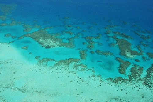 澳洲政府投資10億澳元拯救大堡礁及其野生生物。圖為大堡礁的鳥瞰圖，攝於2009年。（Phil Walter/Getty Images）
