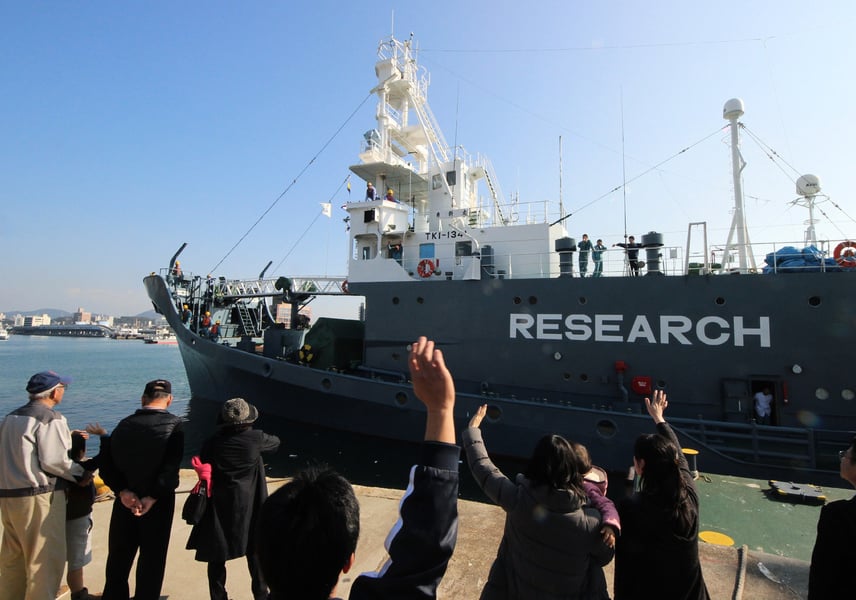 日本退出國際捕鯨委員會 擬恢復商業捕鯨