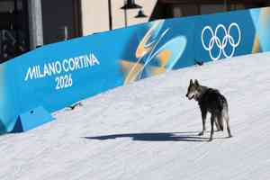 冬奧越野滑雪驚現「黑騎士」和選手衝刺對決
