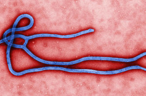 西非幾內亞爆發新的伊波拉疫情