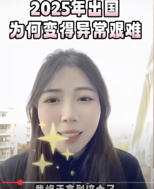 博主說好不容易才辦好護照。(影片截圖)